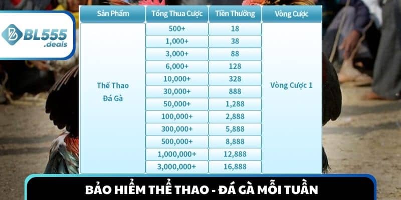 bl555-bao-hiem-the-thao-da-ga-moi-tuan